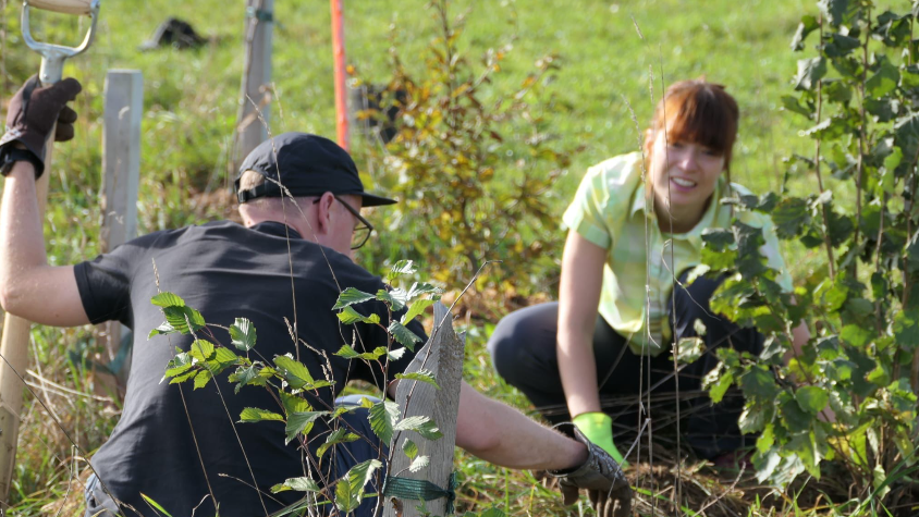 Frapp Weshalb es in Oberschrot bald einen Esswald gibt