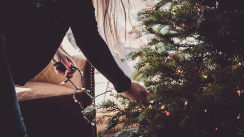 Wann Stellt Man Den Weihnachtsbaum Raus Frapp | Bis wann muss der Weihnachtsbaum raus?