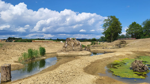 Frapp Die Kleine Glâne erhält ihr natürliches Bett zurück