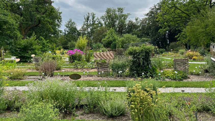 Sol calcaire : conseils de jardinage et plantes adaptées