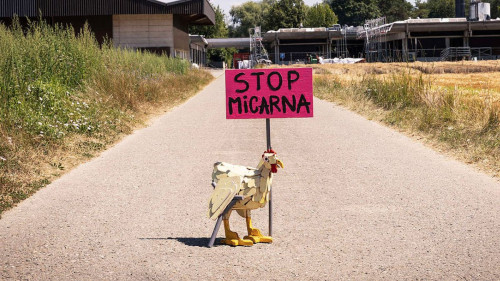 Développement économique broyard: Greenpeace ne veut pas de l'abattoir géant  de Micarna