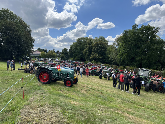Frapp  Über 200 Traktore am Oldtimer-Traktor-Treff in Wallenried