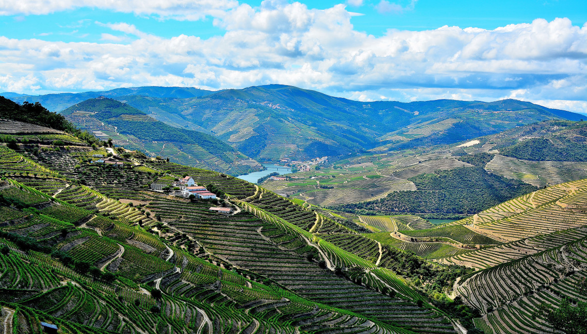  win dream cruise douro portugal win dream cruise douro portugal new